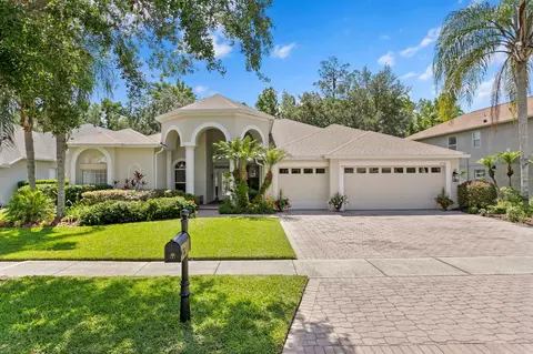 17318 Emerald Chase Dr, Tampa, FL 33647