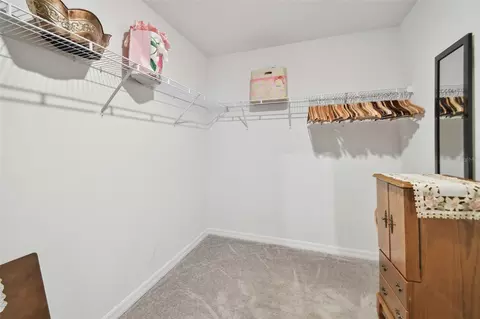 Other - 13603 Wild Ginger St, Riverview, FL 33579 photo 3 of 6