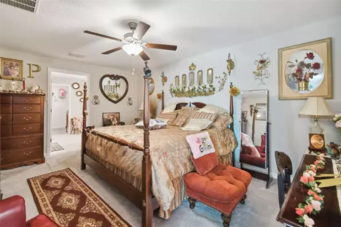 Bedroom - 13603 Wild Ginger St, Riverview, FL 33579 photo 1 of 6