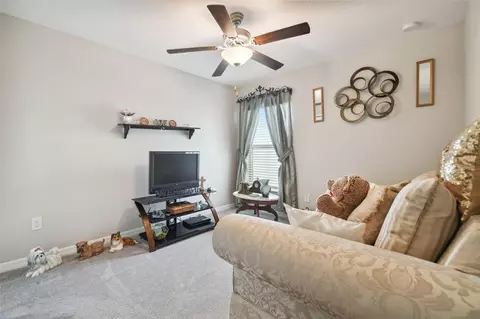Other - 13603 Wild Ginger St, Riverview, FL 33579 photo 4 of 6