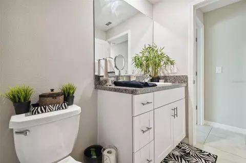 Bath - 13603 Wild Ginger St, Riverview, FL 33579 photo 6 of 6