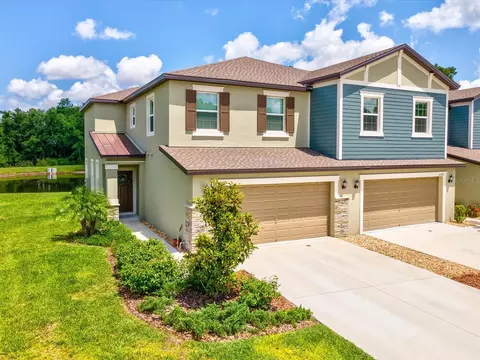 17729 Nectar Flume Dr, Land O Lakes, FL 34638