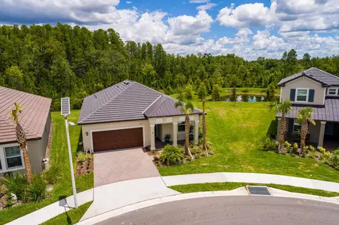 17263 Mango Shay Ct, Land O Lakes, FL 34638