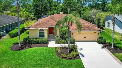 2498 Saddlewood Ln, Palm Harbor, FL 34685