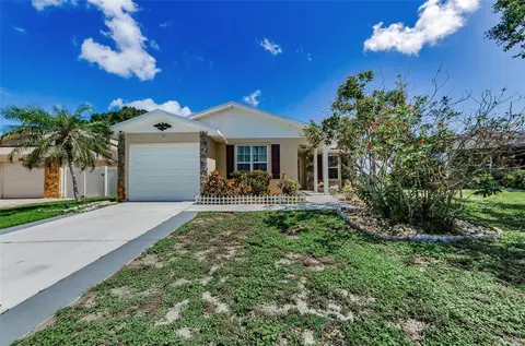 699 Merlins Ct, Tarpon Springs, FL 34689
