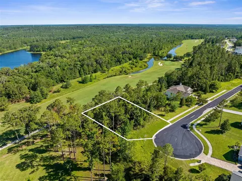 20118 English Walnut Pl, Brooksville, FL 34601
