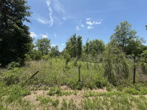 Blanton Road, Dade City, FL 33523