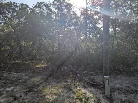 19036 Retriever Rd, Brooksville, FL 34614