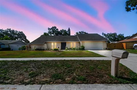 1111 Lakemont Dr, Valrico, FL 33594