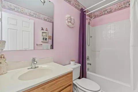 Bath - 10311 Frog Pond Dr, Riverview, FL 33569 photo 4 of 4