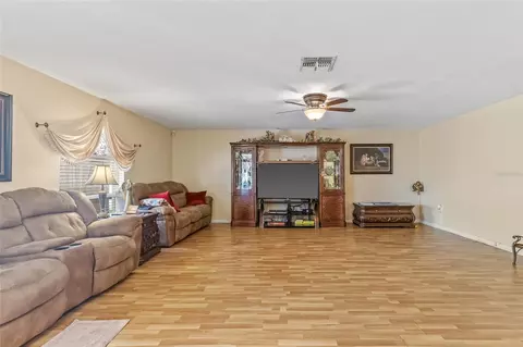 Living - 10311 Frog Pond Dr, Riverview, FL 33569 photo 3 of 5