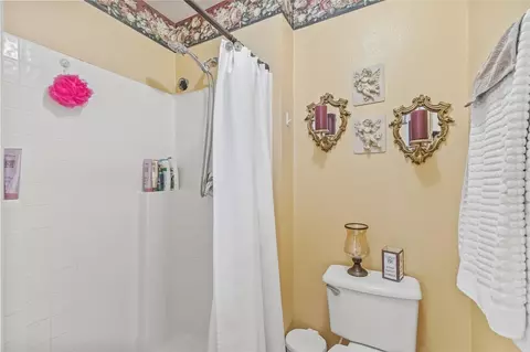 Bath - 10311 Frog Pond Dr, Riverview, FL 33569 photo 3 of 4