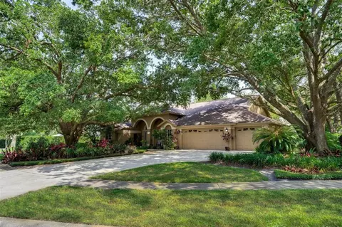 17321 Oak Ledge Dr, Lutz, FL 33549