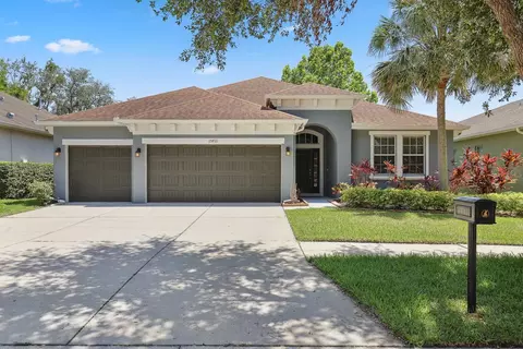 15711 Starling Dale Ln, Lithia, FL 33547