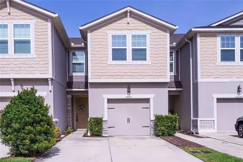 14245 Damselfly Dr, Tampa, FL 33625