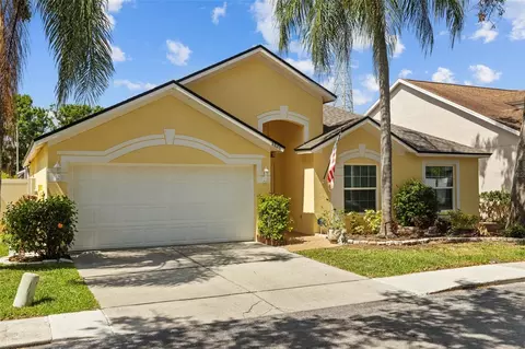 8820 Cypress Hammock Dr, Tampa, FL 33614