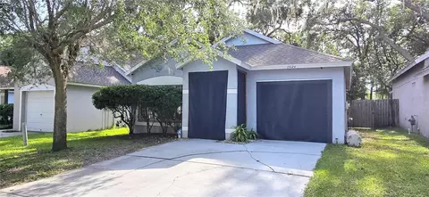 15124 Deer Meadow Dr, Lutz, FL 33559