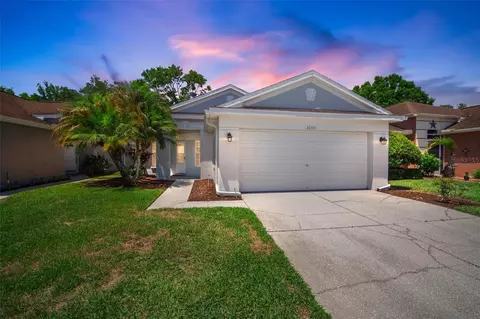 26501 Whirlaway Ter, Wesley Chapel, FL 33544