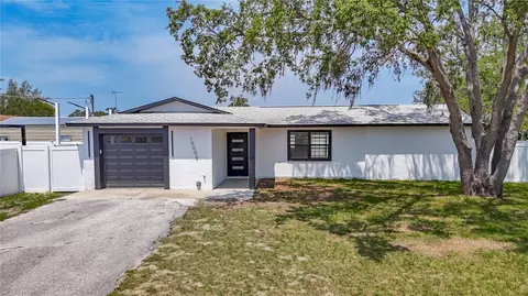 10006 N Connechusett Rd, Tampa, FL 33617
