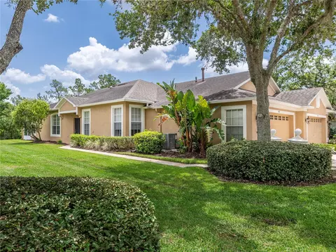 19137 Lake Audubon Dr, Tampa, FL 33647