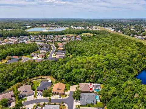 View/Area - 7935 Calindra Ct, Trinity, FL 34655 photo 4 of 6
