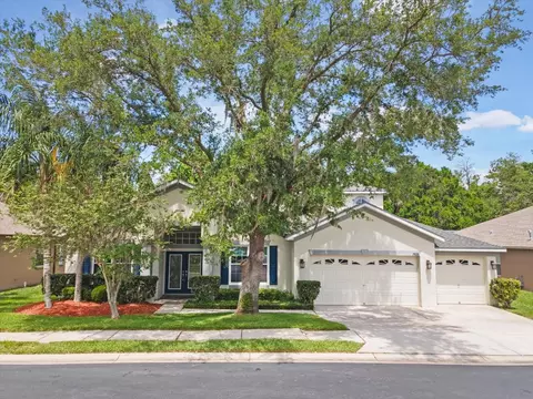 Exterior - 7935 Calindra Ct, Trinity, FL 34655 photo 11 of 14