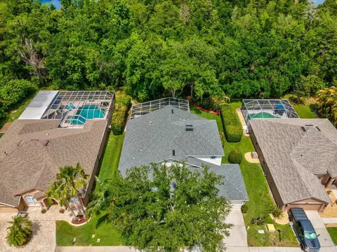 View/Area - 7935 Calindra Ct, Trinity, FL 34655 photo 6 of 6