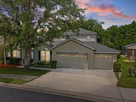 Exterior - 7935 Calindra Ct, Trinity, FL 34655 photo 12 of 14