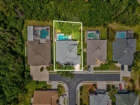 View/Area - 7935 Calindra Ct, Trinity, FL 34655 photo 3 of 6