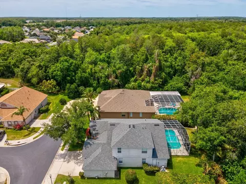 View/Area - 7935 Calindra Ct, Trinity, FL 34655 photo 5 of 6