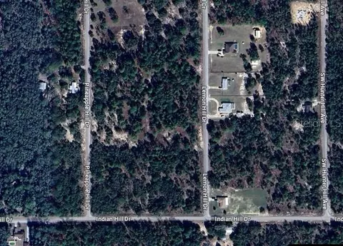 SW Lemon Hill Drive, Dunnellon, FL 34431