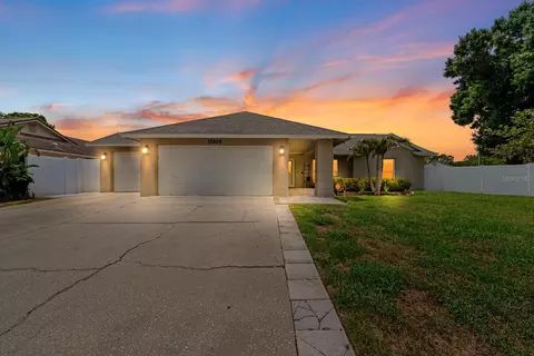 12804 Bert Pl, Tampa, FL 33625