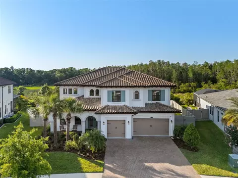 28512 Picana Ln, Wesley Chapel, FL 33543