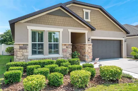 11314 American Holly Dr, Riverview, FL 33578