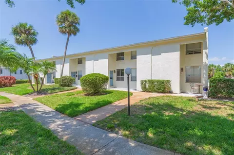 4517 La Capri Ct, Tampa, FL 33611