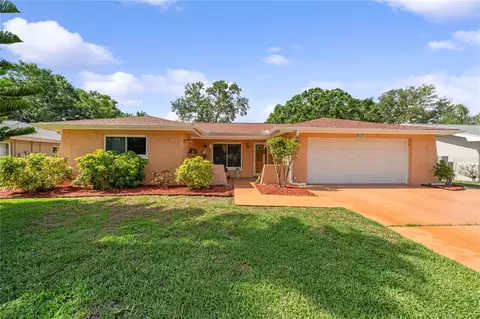 1707 Hibiscus Cir S, Oldsmar, FL 34677