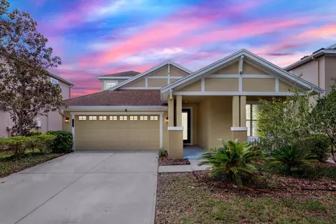 20106 Bending Creek Pl, Tampa, FL 33647