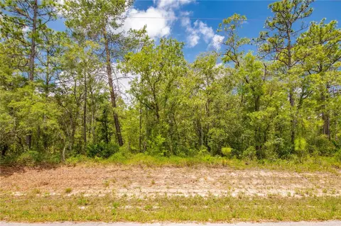 0 Mount Sparrow Rd, Weeki Wachee, FL 34614
