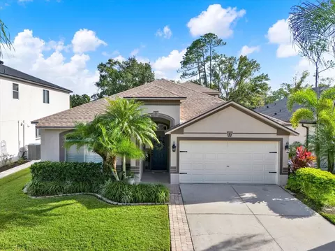 12808 Killarney Ct, Odessa, FL 33556