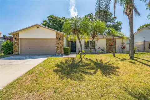 12838 Tallowood Dr, Riverview, FL 33579 photo 1