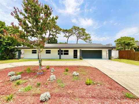 1290 Michigan Blvd, Dunedin, FL 34698
