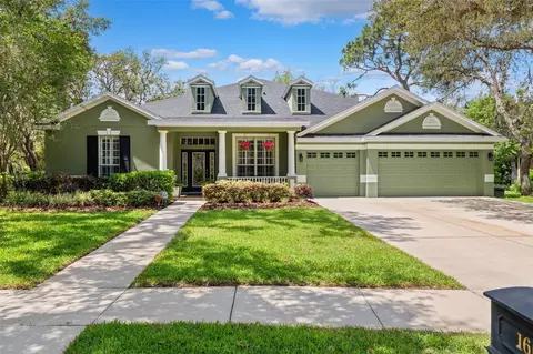 16039 Ternglade Dr, Lithia, FL 33547