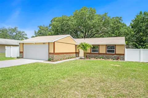 3072 Sugar Bear Trl, Palm Harbor, FL 34684
