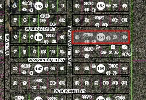 10006 W Brocade St, Homosassa, FL 34448
