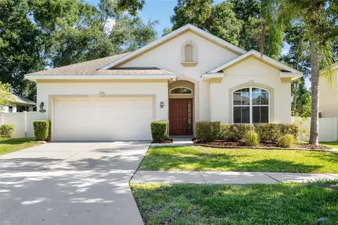 203 Montara Dr, Seffner, FL 33584