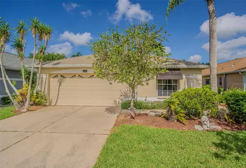 10801 Collar Dr, San Antonio, FL 33576