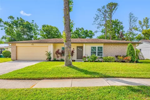 4220 Woodlark Dr, Tampa, FL 33624
