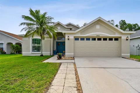 30918 Burleigh Dr, Wesley Chapel, FL 33543