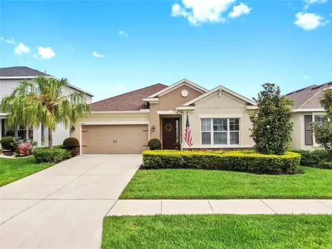 17610 Buckingham Garden Dr, Lithia, FL 33547