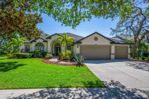 15934 Sorawater Dr, Lithia, FL 33547